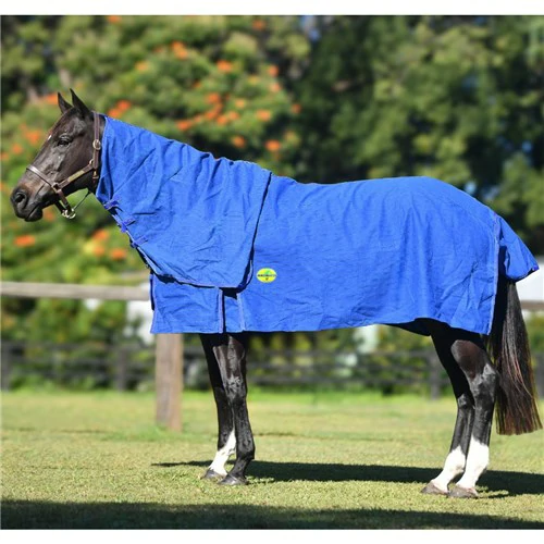Canvas Rugs (5) Horsemaster Ripstop Canvas Unlined Combo - Blue/Blue - Image 1